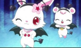 小熊兔子先生爆料视频